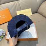 Top louis vuitton hats High Quality